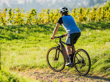 Noleggio bici elettriche nel Chianti